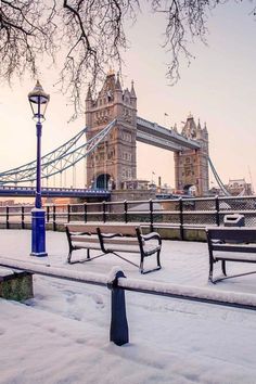 benches are covered with snow in front of the tower bridge