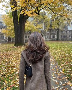 Disco Hairstyles, Flippy Hair, Stile Blair Waldorf, Brown Hair Inspo, Fest Outfits, Hairstyles For Layered Hair, Women's Hairstyles, Quick Hairstyles, Hairstyles Black