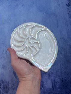 a hand holding a white plate with an intricate design on the front and sides, against a blue background