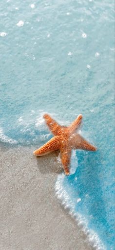 a starfish is laying on the sand at the beach