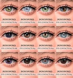 the different types of eyes with their names