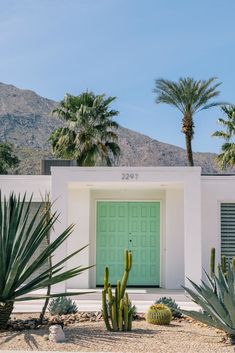 a green door sits in front of a white building with cactus and cacti