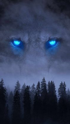 a wolf with blue eyes is in the middle of a dark forest, surrounded by fog