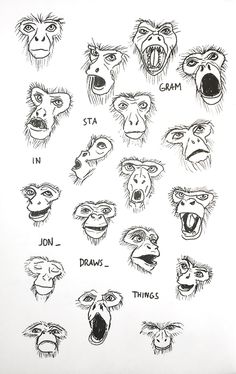 an image of various faces drawn by hand with ink on paper, including monkeys and other animals