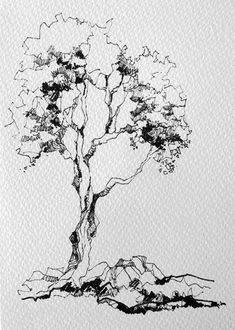 a black and white drawing of a tree