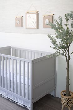 a white crib next to a small tree in a room with pictures on the wall