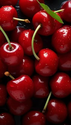 closeup of cherries with water droplets on them