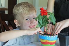 a young boy sitting at a table with a potted plant