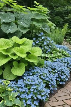 blue and green plants are growing in the garden, along with brick pavers walkway