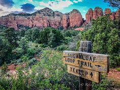 a wooden sign sitting on the side of a lush green forest