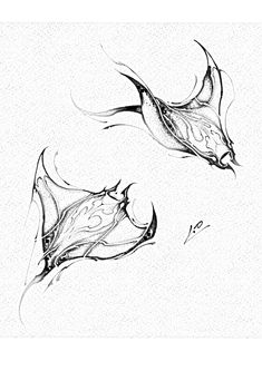 two drawings of bats flying through the air