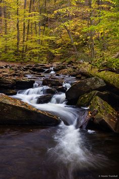 a stream running through a forest filled with lots of rocks and trees in the background