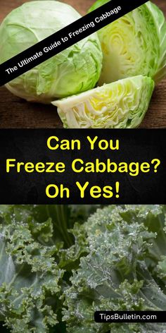 lettuce and cabbage with the words can you freeze cabbage? oh yess