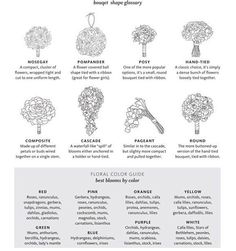 the bouquet glossary is shown in black and white, with different types of flowers