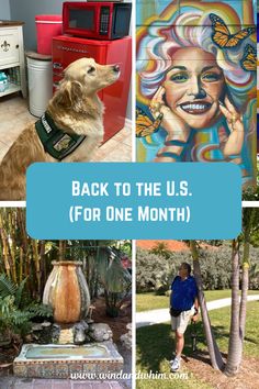 the back to the u s for one month with pictures of dogs and people in their home