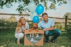 Puppy Gender Reveal Photoshoot, Puppy Reveal Ideas, Puppy Gender Reveal, Puppy Announcement Ideas, Dog Gender Reveal, Puppy Reveal, Dog Announcement, Dog Gender, Puppy Announcement