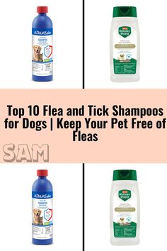 the top 10 flea and tick shampoos for dogs i keep your pet free of flea