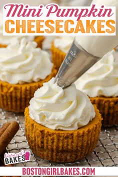 mini pumpkin cheesecakes with whipped cream on top and cinnamon sticks in the background