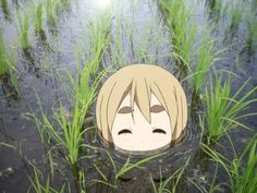 an anime character in the water surrounded by tall green grass and reeds with his eyes closed