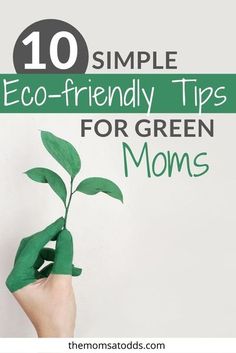 a hand holding a green plant with the words 10 simple eco - friendly tips for green moms