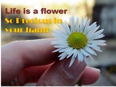 a hand holding a flower with the words life is a flower so precious in your hand