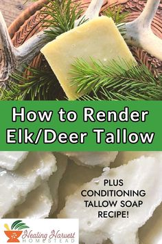 how to render elk / deer tallow plus conditioning soap recipe with rosemary and pine oil