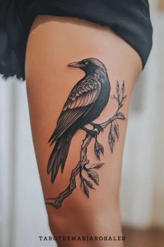 a black bird sitting on top of a tree branch with leaves around it's legs