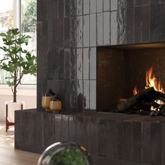 a living room with a fire place and potted plants