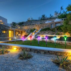 an outdoor garden with colorful lights and plants