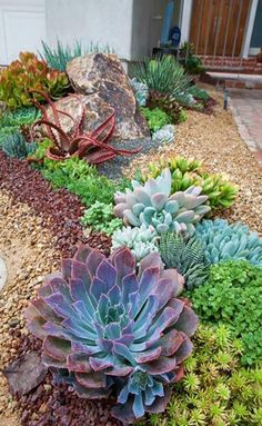 an assortment of succulents and rocks in front of a house