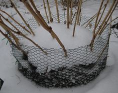 a wire fence is covered with snow and sticks