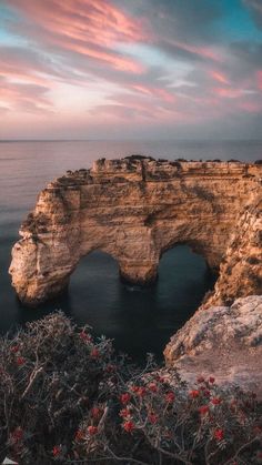 a large rock formation near the ocean under a cloudy sky with flowers growing on it