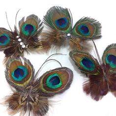 six peacock feathers are arranged on a white surface