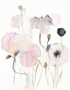 watercolor painting of pink and black flowers