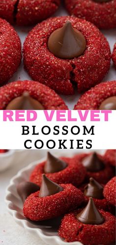 red velvet blossom cookies with chocolate on top