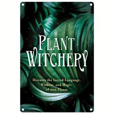 a book cover with green leaves and the words plant witch