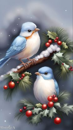 two birds sitting on a branch with holly and berries