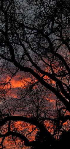 the sun is setting behind some trees in front of an orange and blue sky with clouds