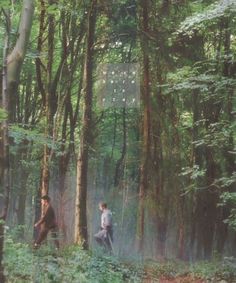 two people are walking through the woods