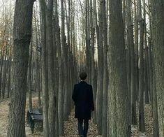 a man walking through a forest filled with lots of tall, thin trees and benches