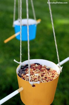 two buckets filled with birdseed hanging from strings in the grass, one blue and one yellow