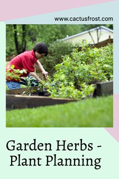 a young boy is tending to plants in the garden with text overlay that reads garden herbs - plant planning