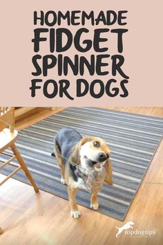 a dog standing on top of a wooden floor next to a rug with the words homemade fidget spinner for dogs