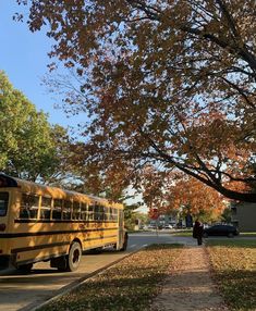 a school bus is parked on the side of the road