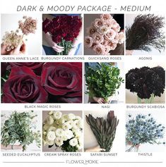 various flowers are shown with the words dark and moody package - large