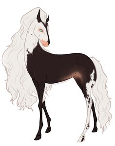 a black and white horse with long hair