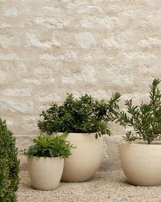 three white planters with green plants in them on the side of a building wall