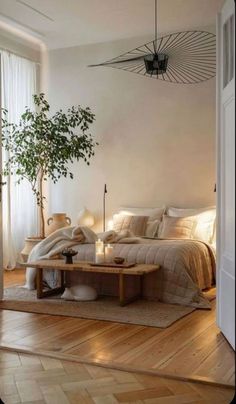 a bed room with a neatly made bed and a plant