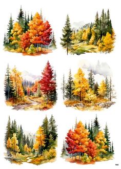 four different types of trees with autumn leaves in the foreground and on the background