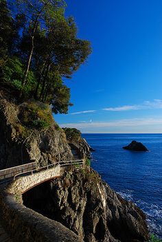 a bridge that is next to the ocean with trees on top and water below it